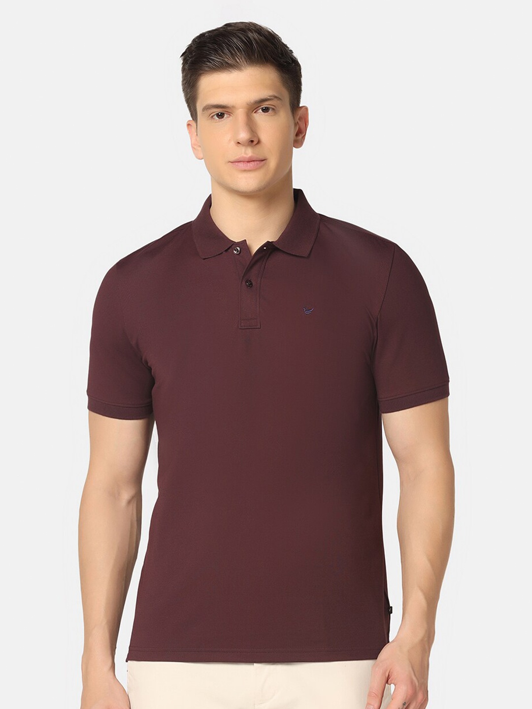 

Blackberrys Polo Collar Pure Cotton Slim Fit T-shirt, Burgundy