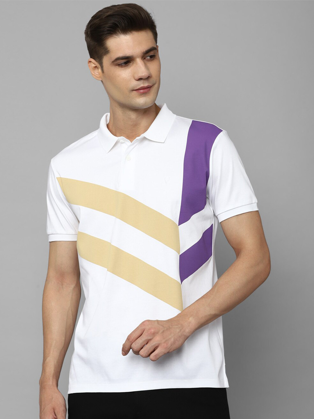 

Allen Solly Colourblocked Polo Collar Pure Cotton T-shirt, White