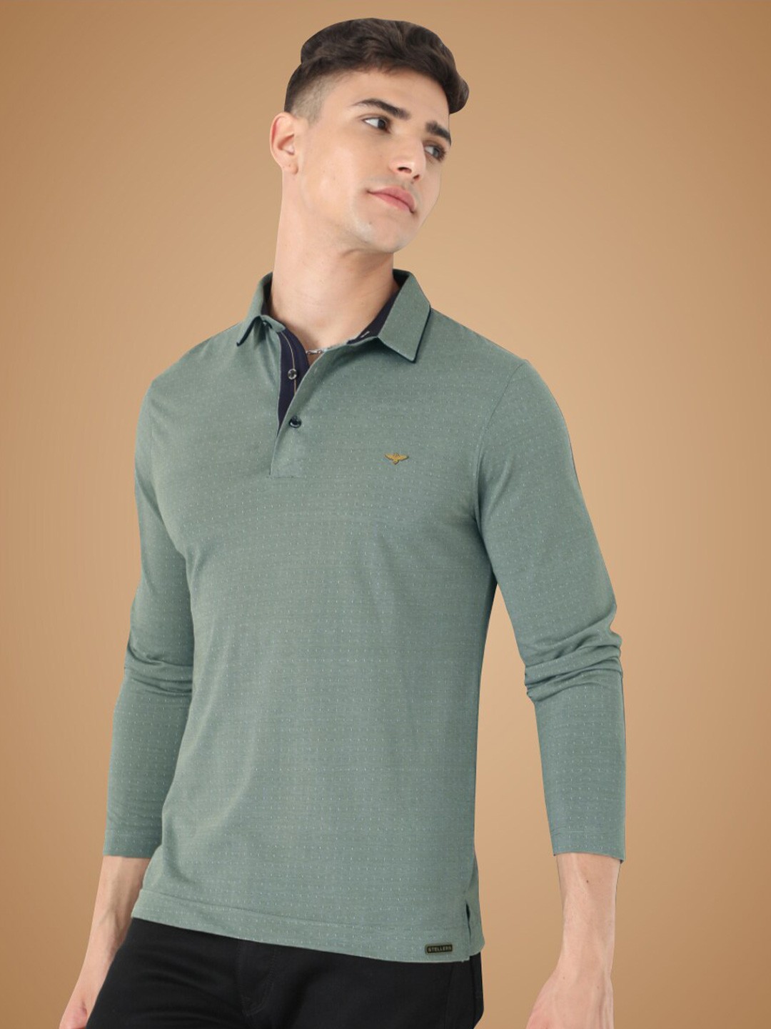 

STELLERS Self Design Polo Collar Long Sleeves T-shirt, Green