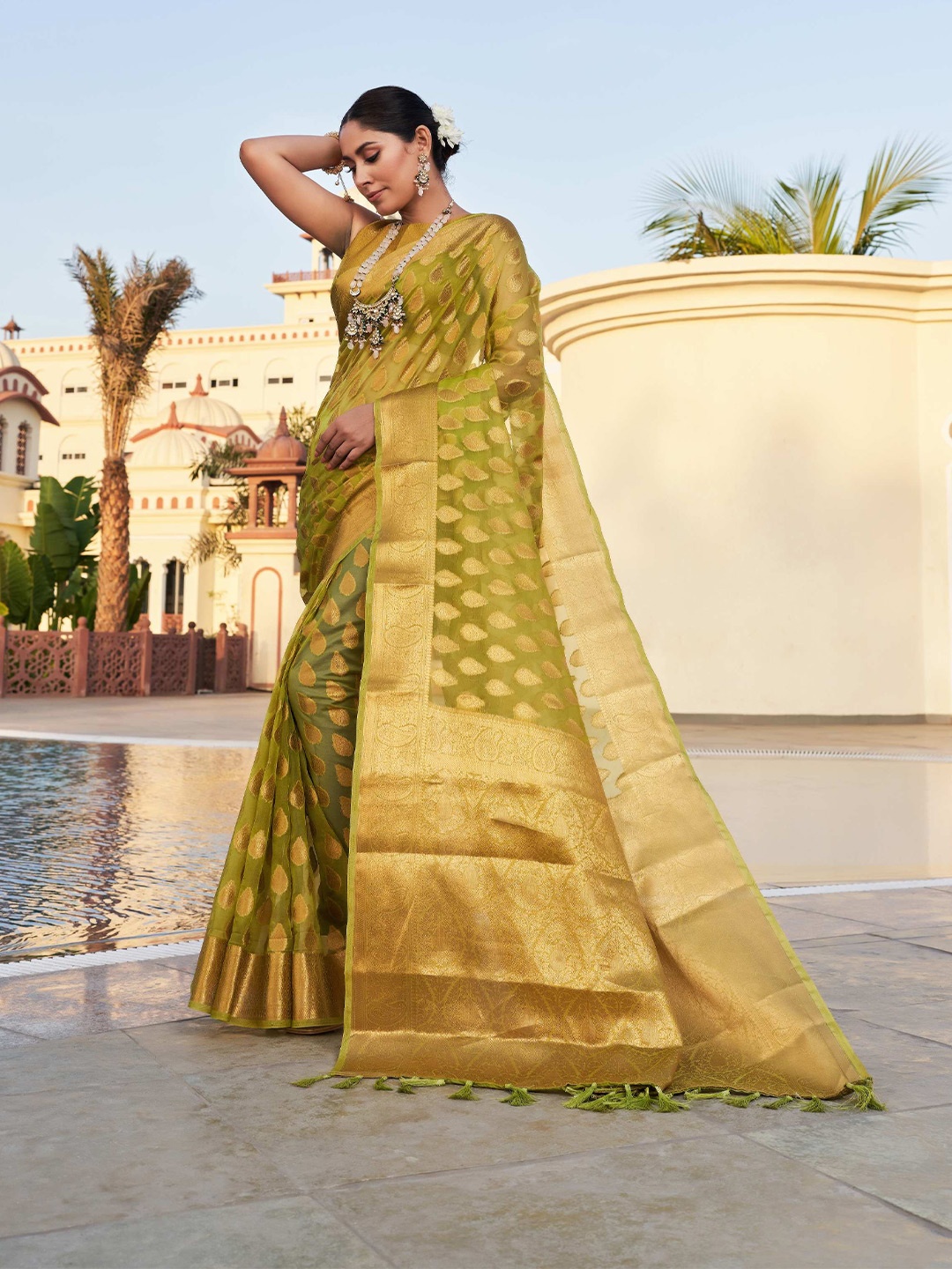 

Vardha Ethnic Motif Woven Design Zari Organza Banarasi Saree, Lime green