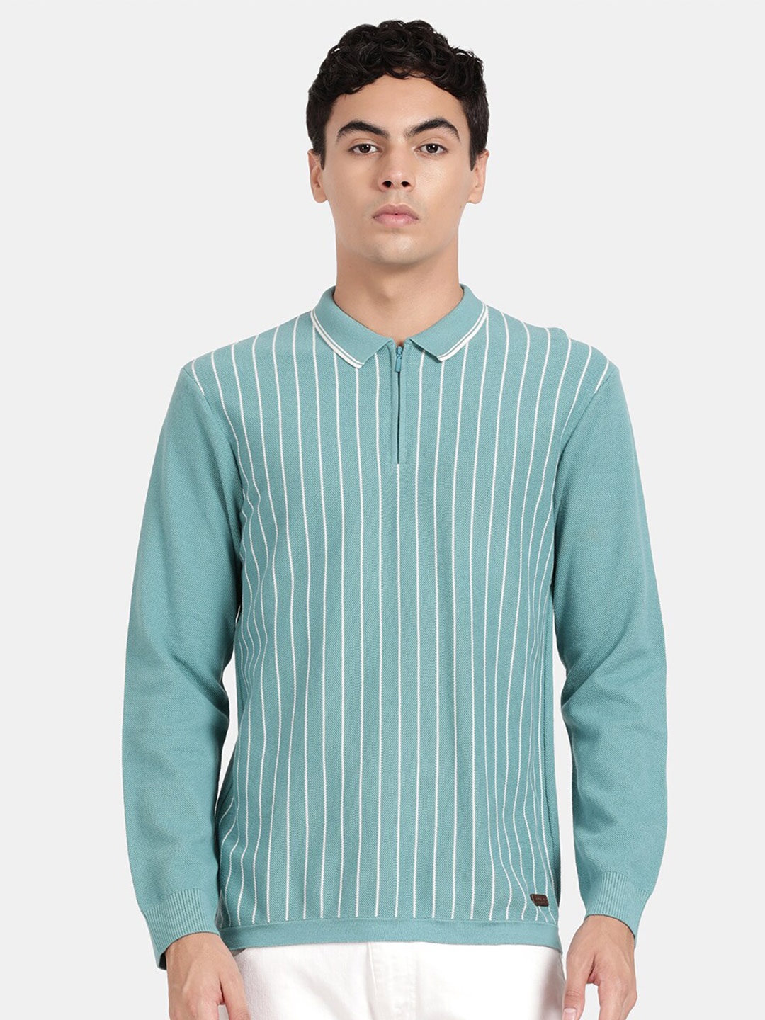 

t-base Men Striped Polo Collar T-shirt, Green