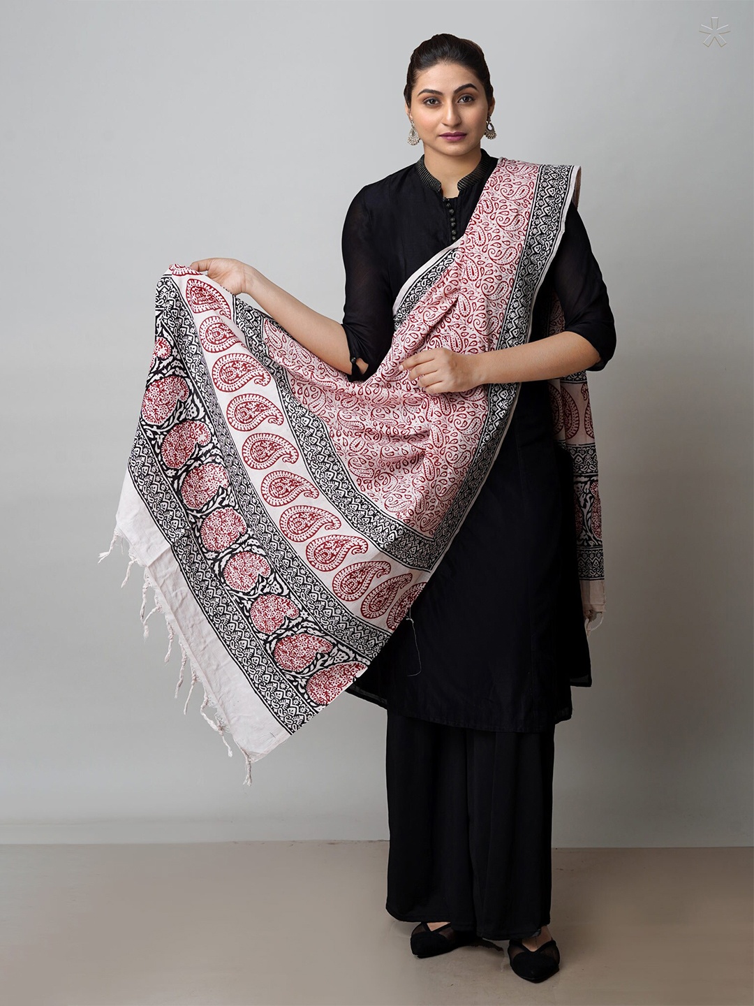 

Unnati Silks Ethnic Motifs Printed Pure Cotton Dupatta, White