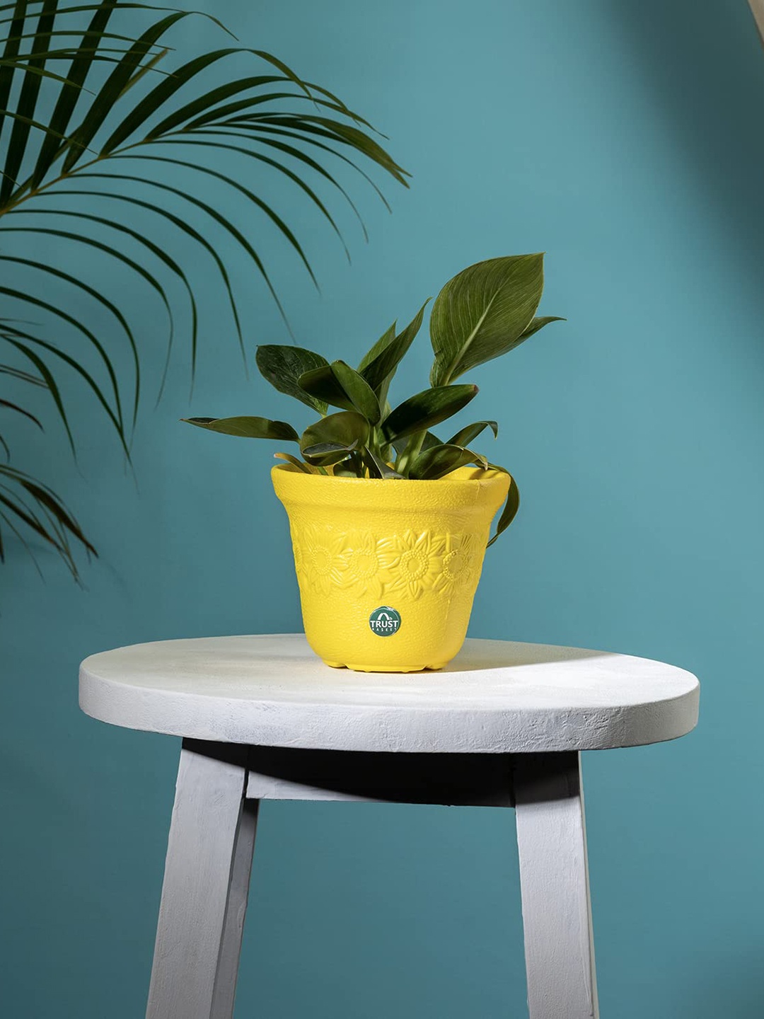 

TRUSTBASKET Yellow Textured Planter