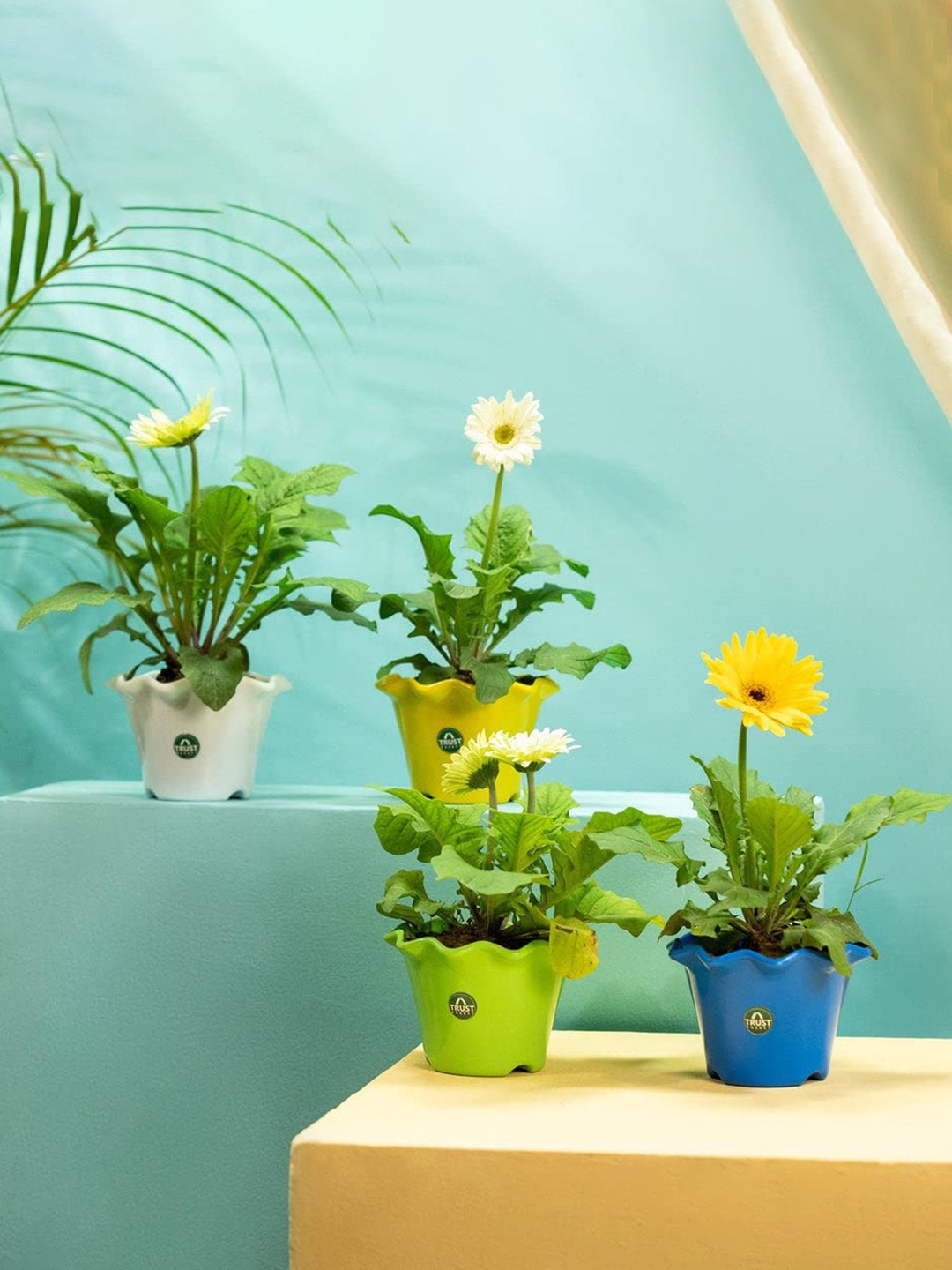 

TRUSTBASKET Blue & Yellow 4 Pieces Blossom Planters