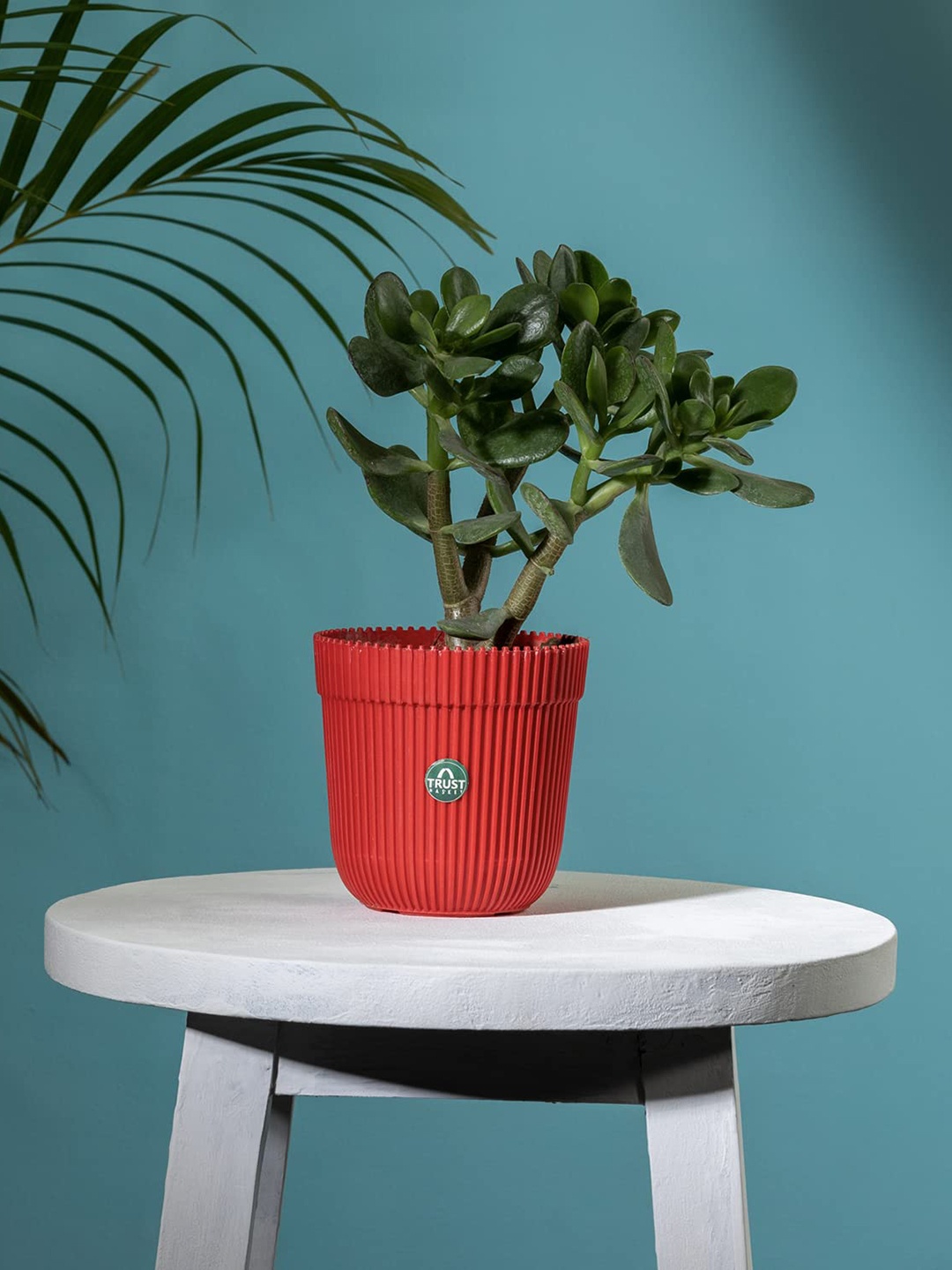 

TRUSTBASKET Red Textured Planter