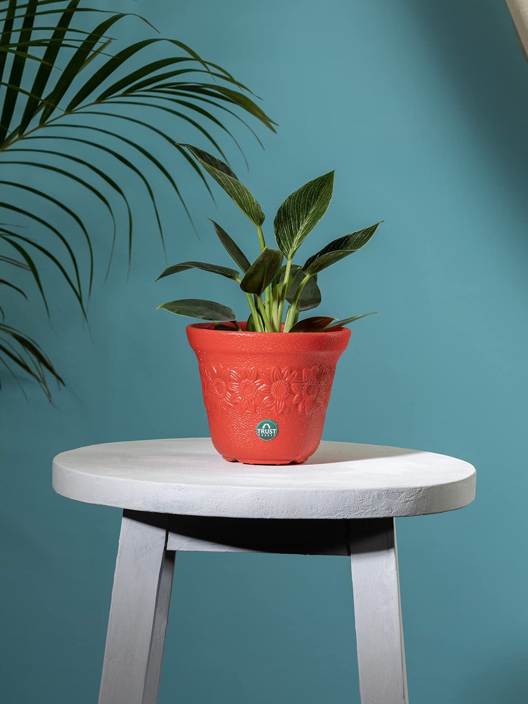 

TRUSTBASKET Red Textured Planter