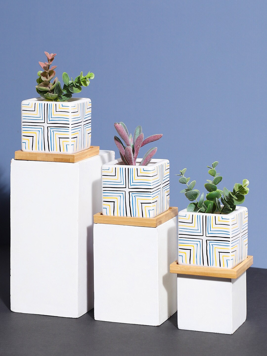 

Bonhomie White & Blue 3 Pieces Printed Ceramic Planters With Coasters