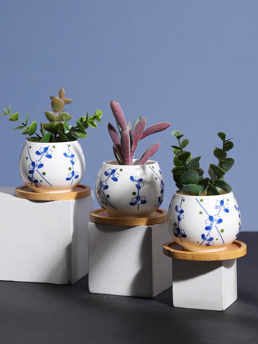

Bonhomie 3-Pcs White & Blue Printed Ceramic Planters With Coasters