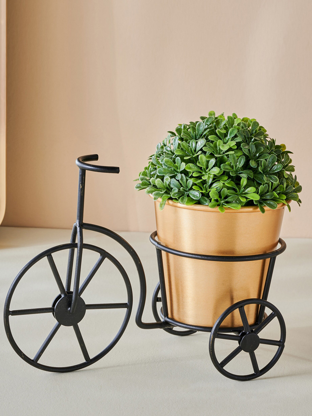 

Home Centre Black Gloria Metal Tricycle Planter