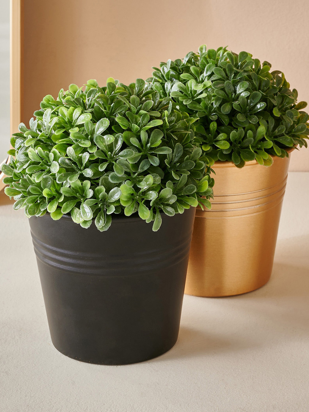 

Home Centre Black Solid Iron Planter