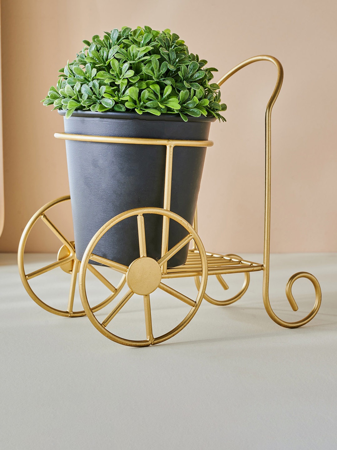 

Home Centre Gloria Black Iron Planter with Aluminium Trolley