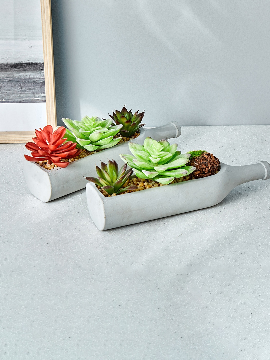 

Home Centre Green & Red Gloria Bottled Succulent Artificial Plant, White