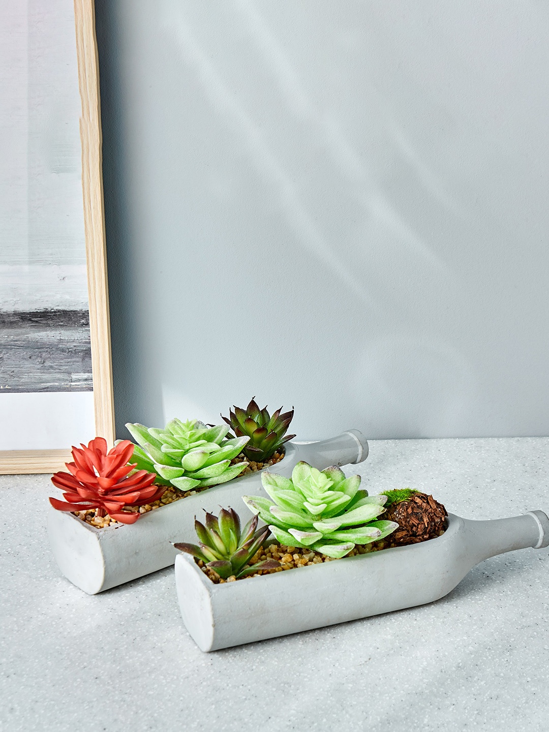 

Home Centre White Bottle Succulent Plant, Green