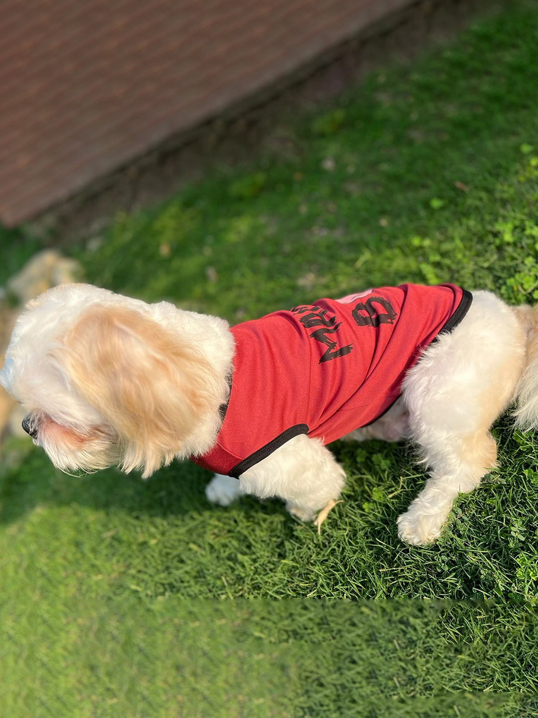 

Lulala Mama S Boy Printed Breathable & Lightweight Dog T-shirt, Red
