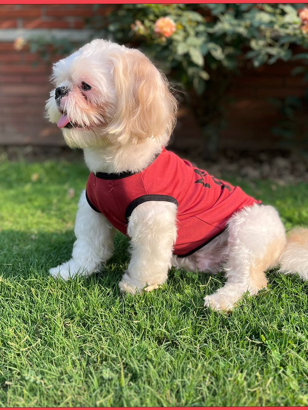 

Lulala Mama S Boy Printed Dog T-shirts, Red