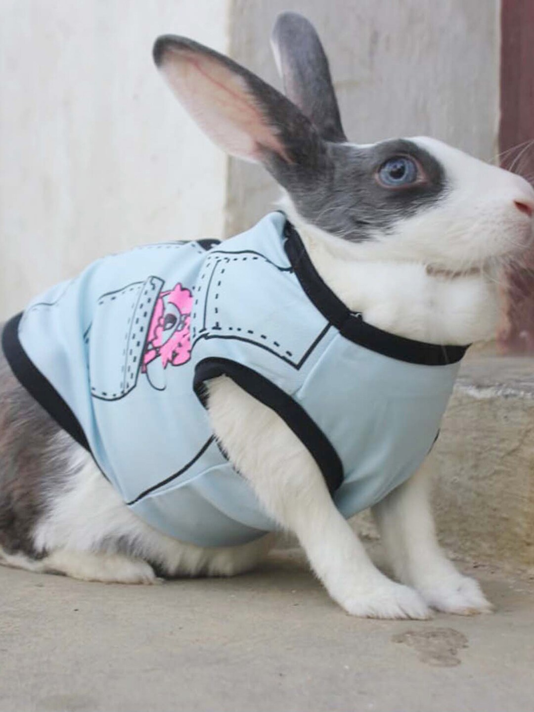 

Lulala Summer Printed Pet Tshirts, Blue