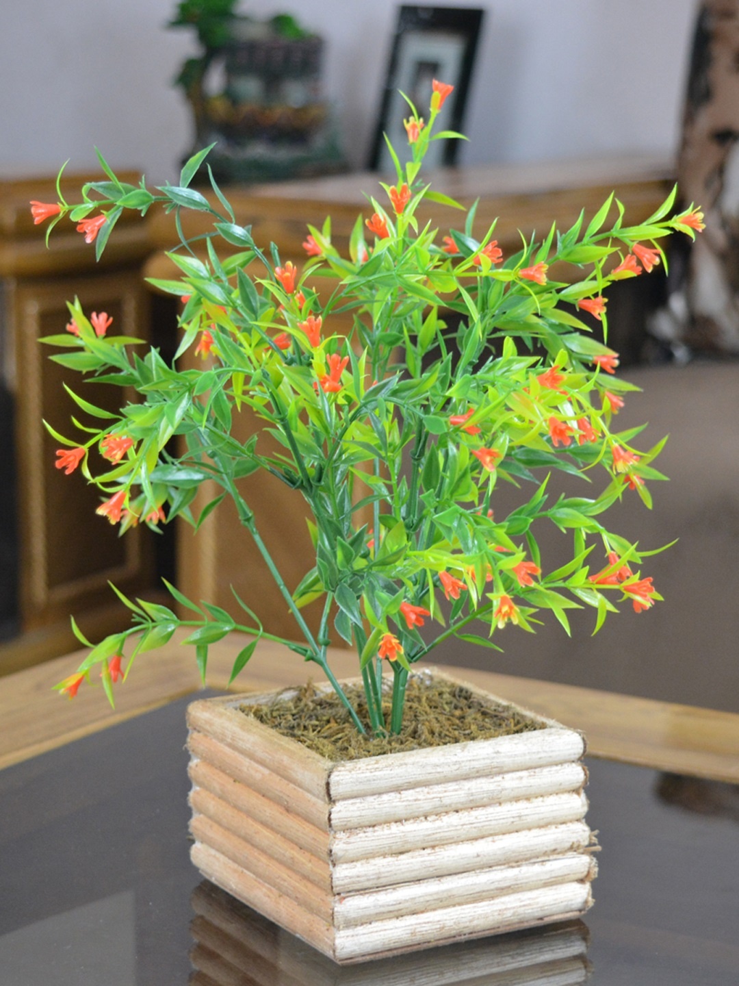 

fancy mart Green & Off-White Artificial Spring Flower with Pot