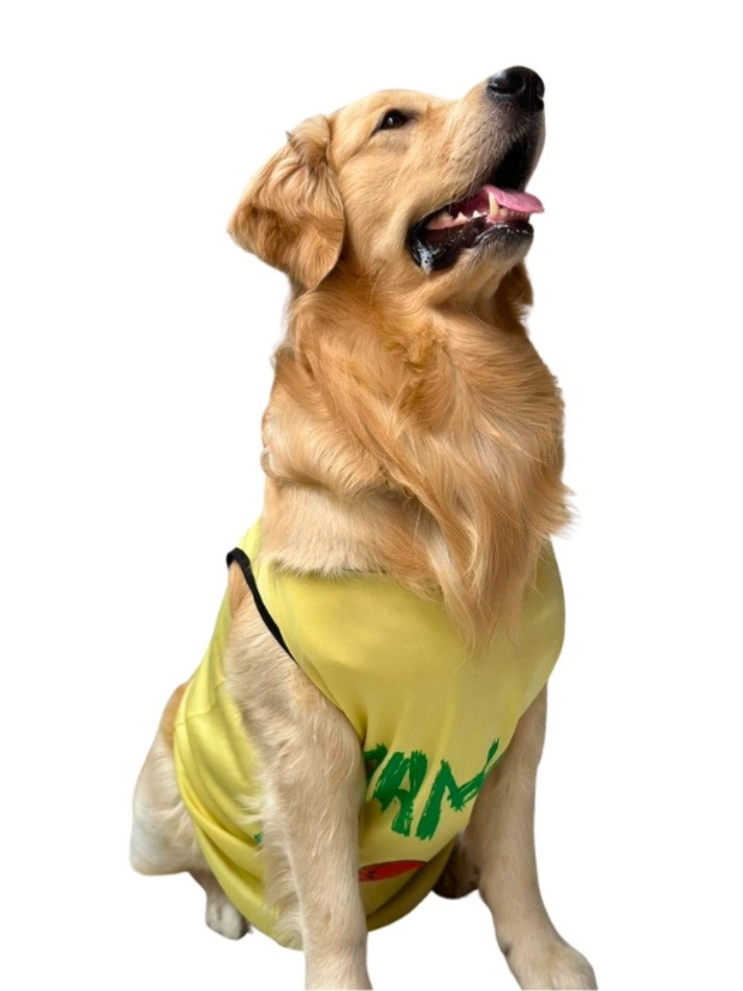 

Lulala Mama's Boy Printed Dog T-Shirt, Yellow