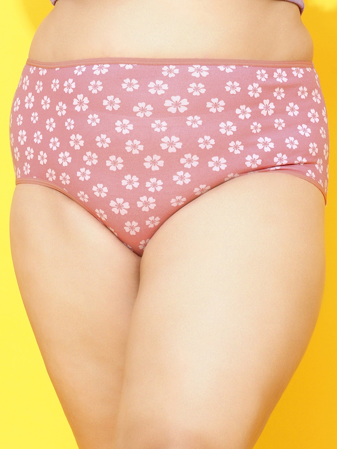 

Clovia Women Pink Floral Printed Cotton Hipster Briefs PN2499E22S