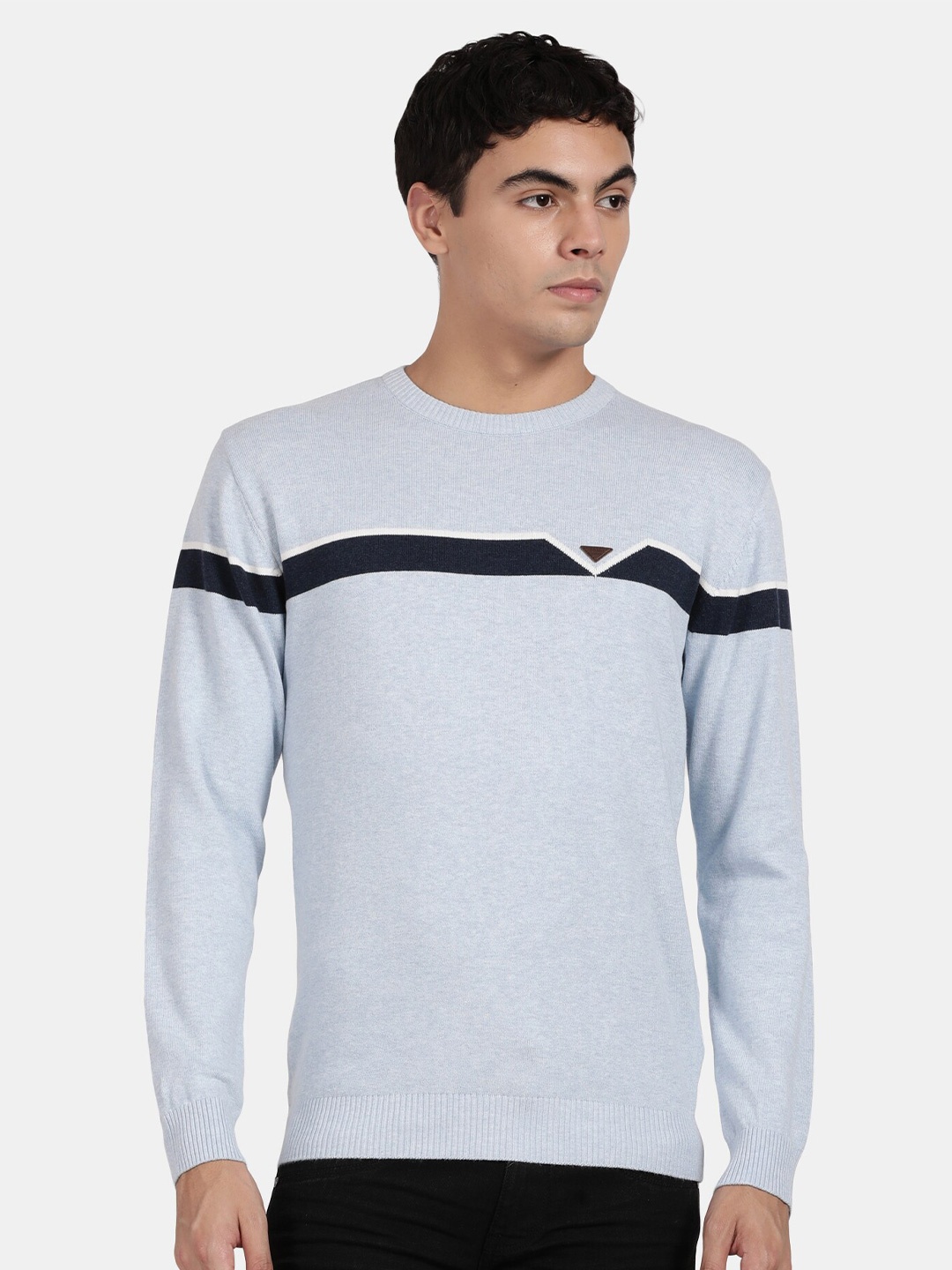 

t-base Striped Round Neck Cotton Pullover, Blue