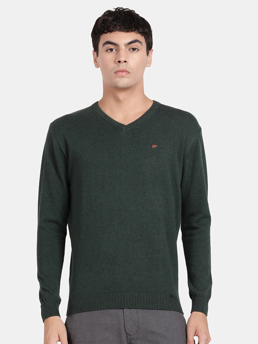 

t-base V-Neck Long Sleeves Cotton Pullover, Green
