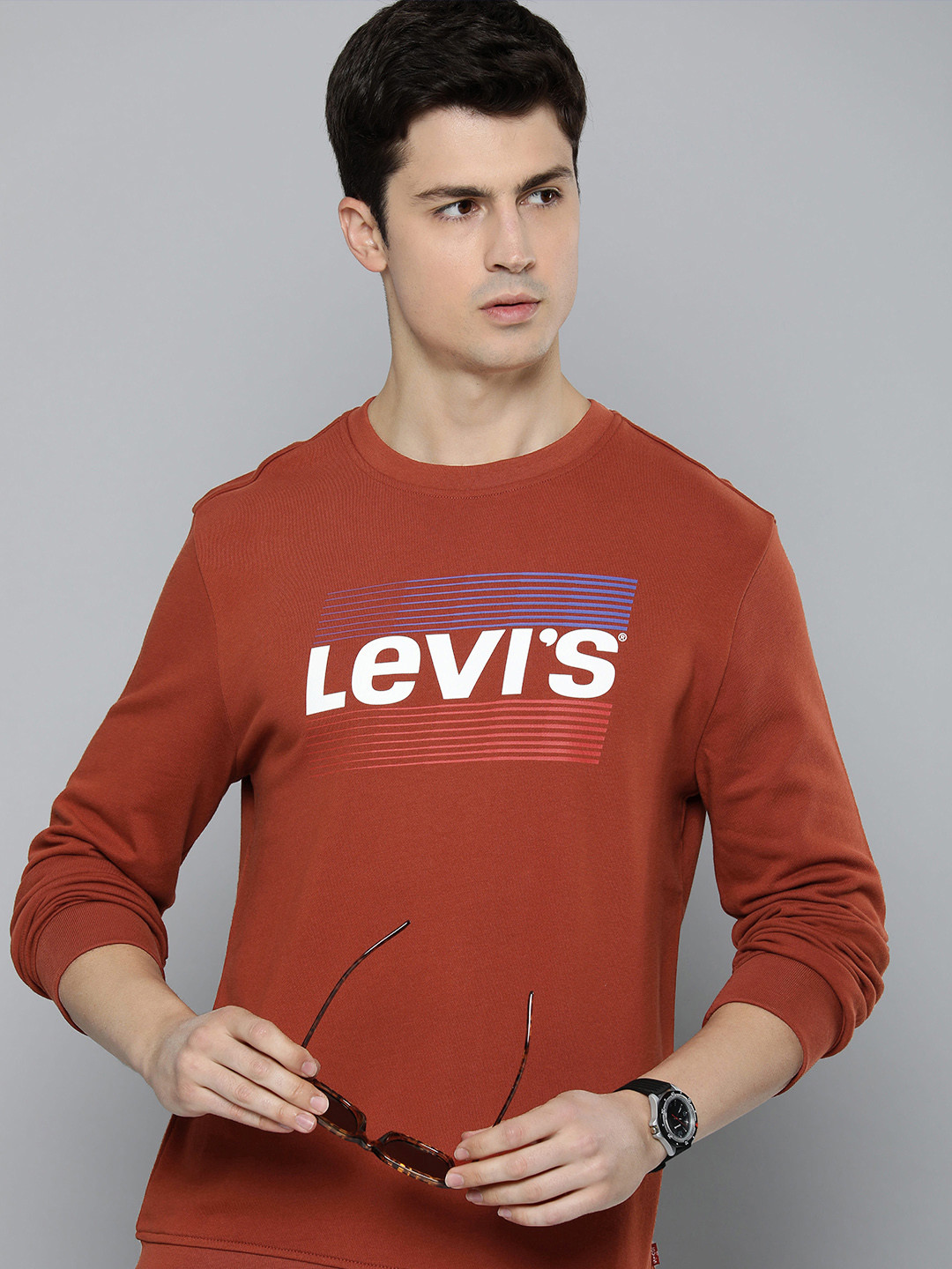 

Levis Pure Cotton Brand Logo Printed Sweatshirt, Brown