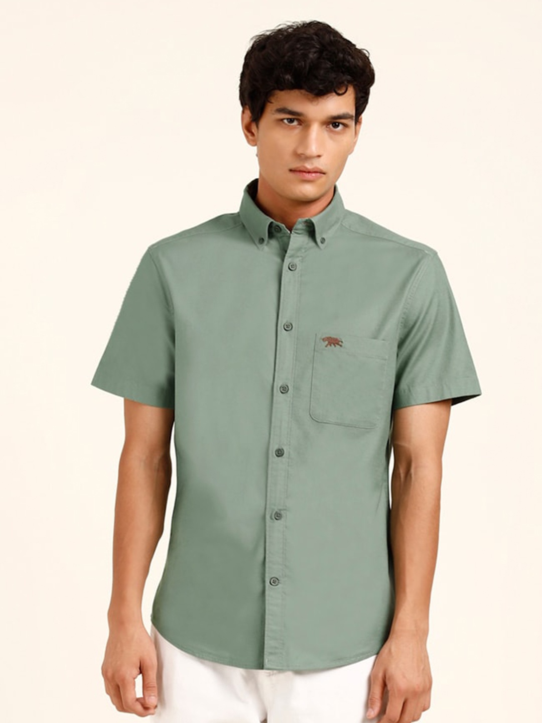 

Andamen Classic Oxford Casual Cotton Shirt, Green