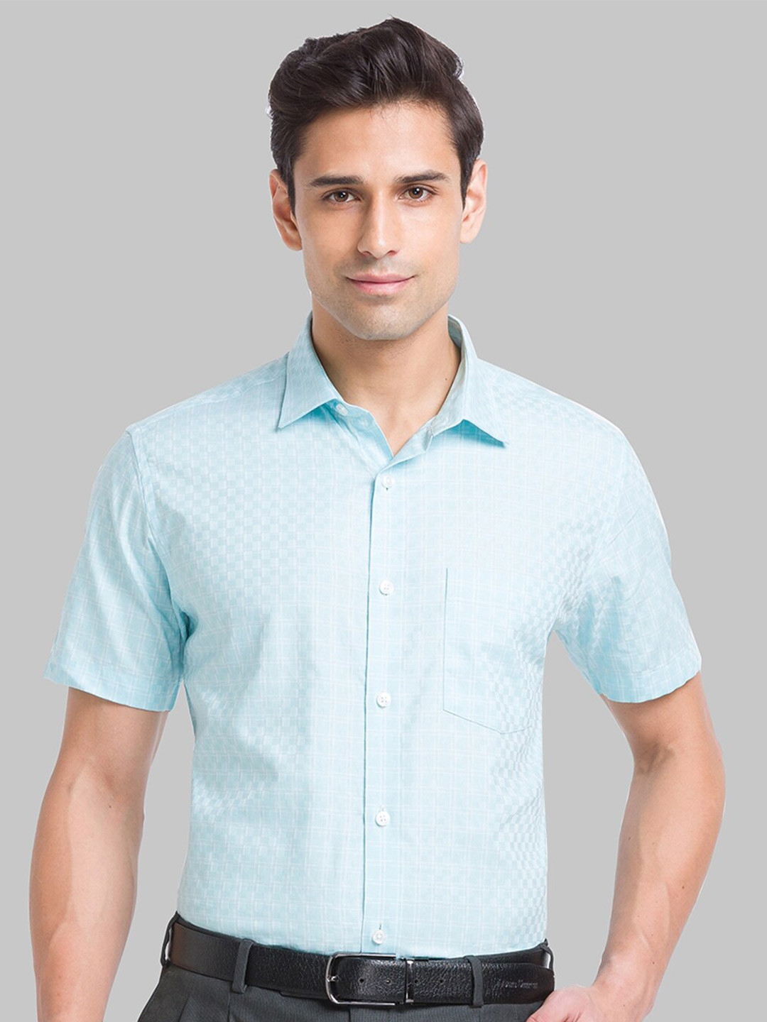 

Park Avenue Micro Ditsy Printed Pure Cotton Formal Shirt, Blue