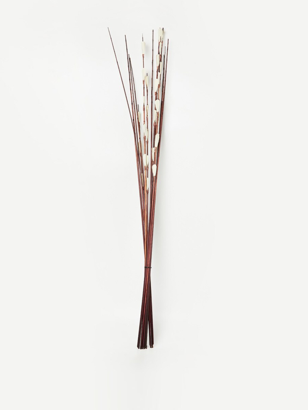 

Home Centre Brown Botanical Palm Leaves Stick Artificial Flowers & Plants