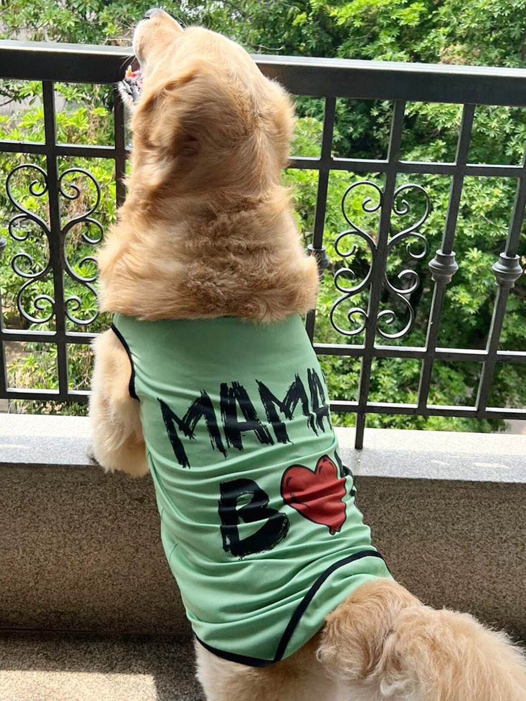 

Lulala Printed Dog Tshirt, Green