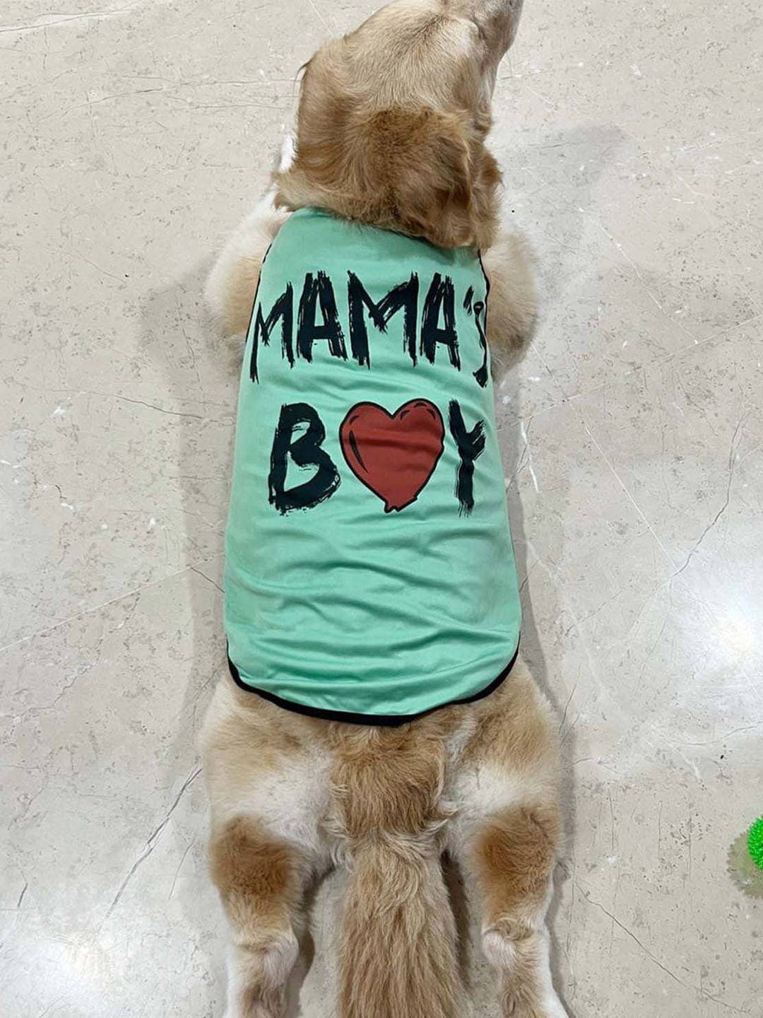 

Lulala Printed Dog Tshirts, Green