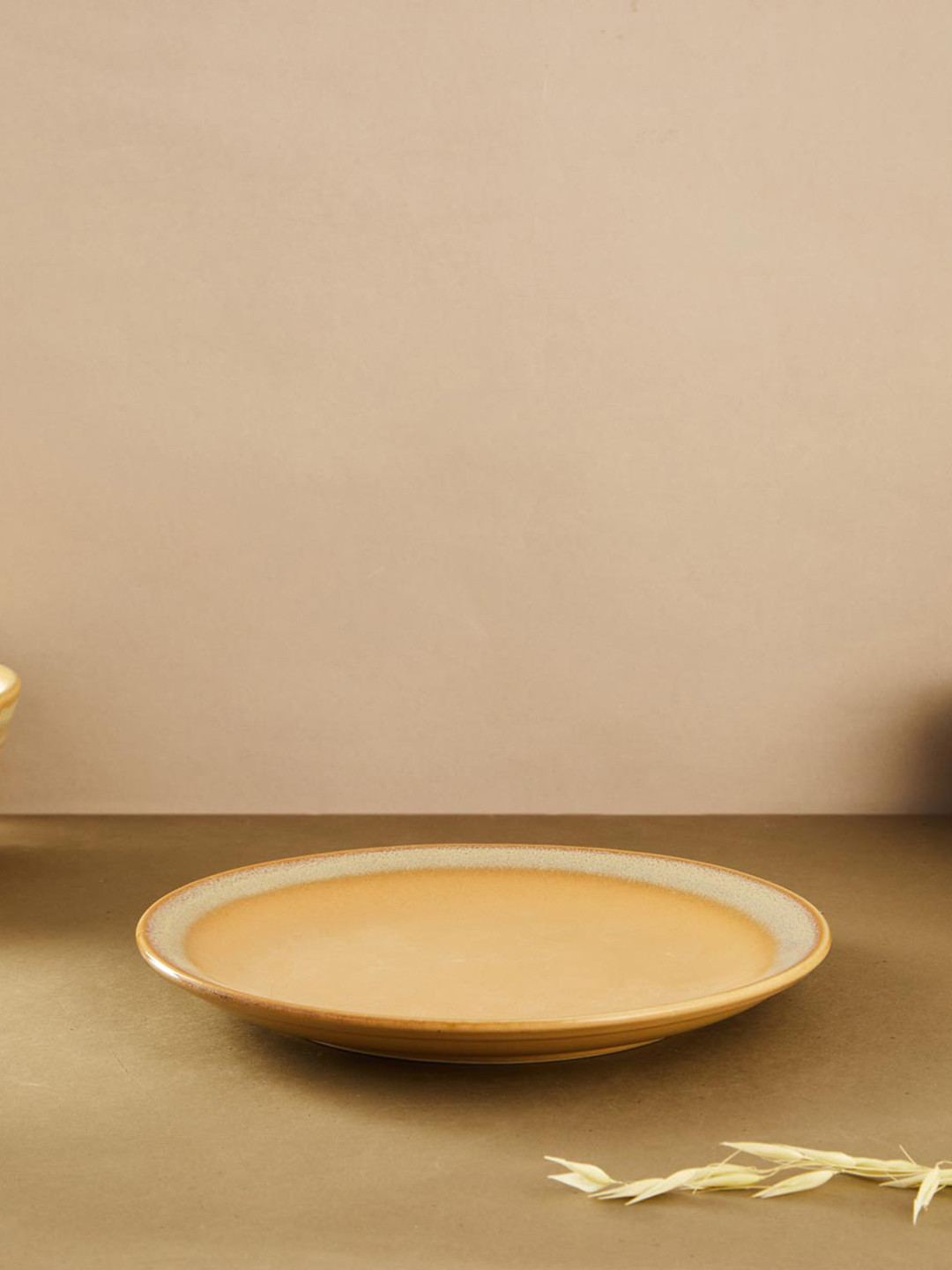 

Fabindia Anaarbagh Beige Ceramic Matte Dinner Plates