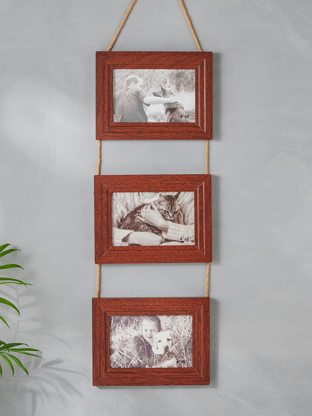 

Home Centre Pacific Sepia Brown 3 Pieces Rope Photo Frames