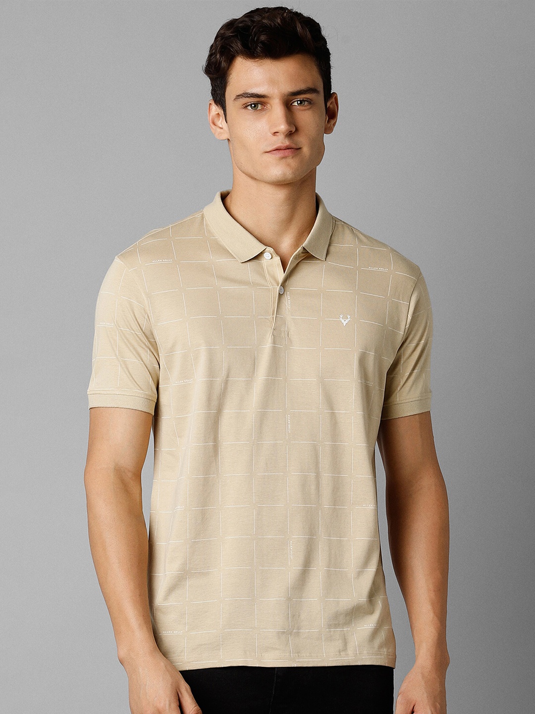 

Allen Solly Polo Collar Regular Fit Pure Cotton T-shirt, Khaki