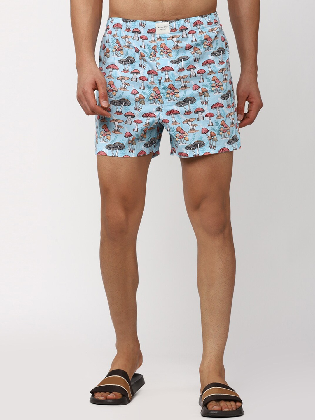 

AMERICAN EAGLE OUTFITTERS Printed Mid Rise Comfortable Boxers WES0233026313, Green