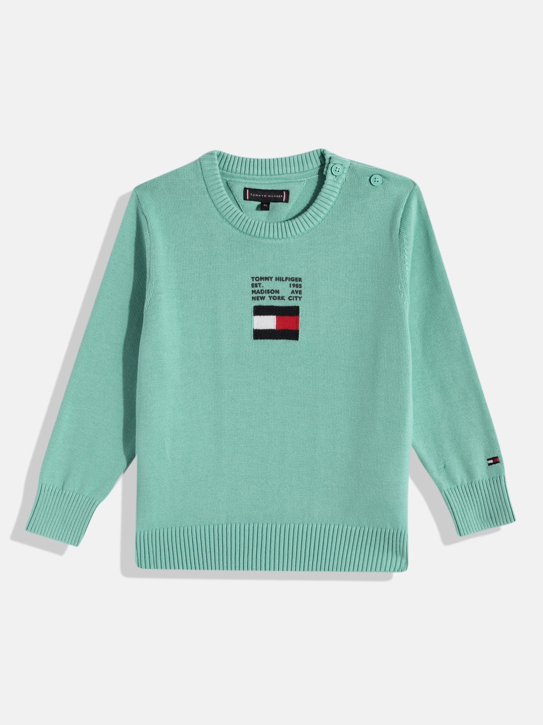 

Tommy Hilfiger Boys Brand Logo Printed Pure Cotton Pullover, Sea green