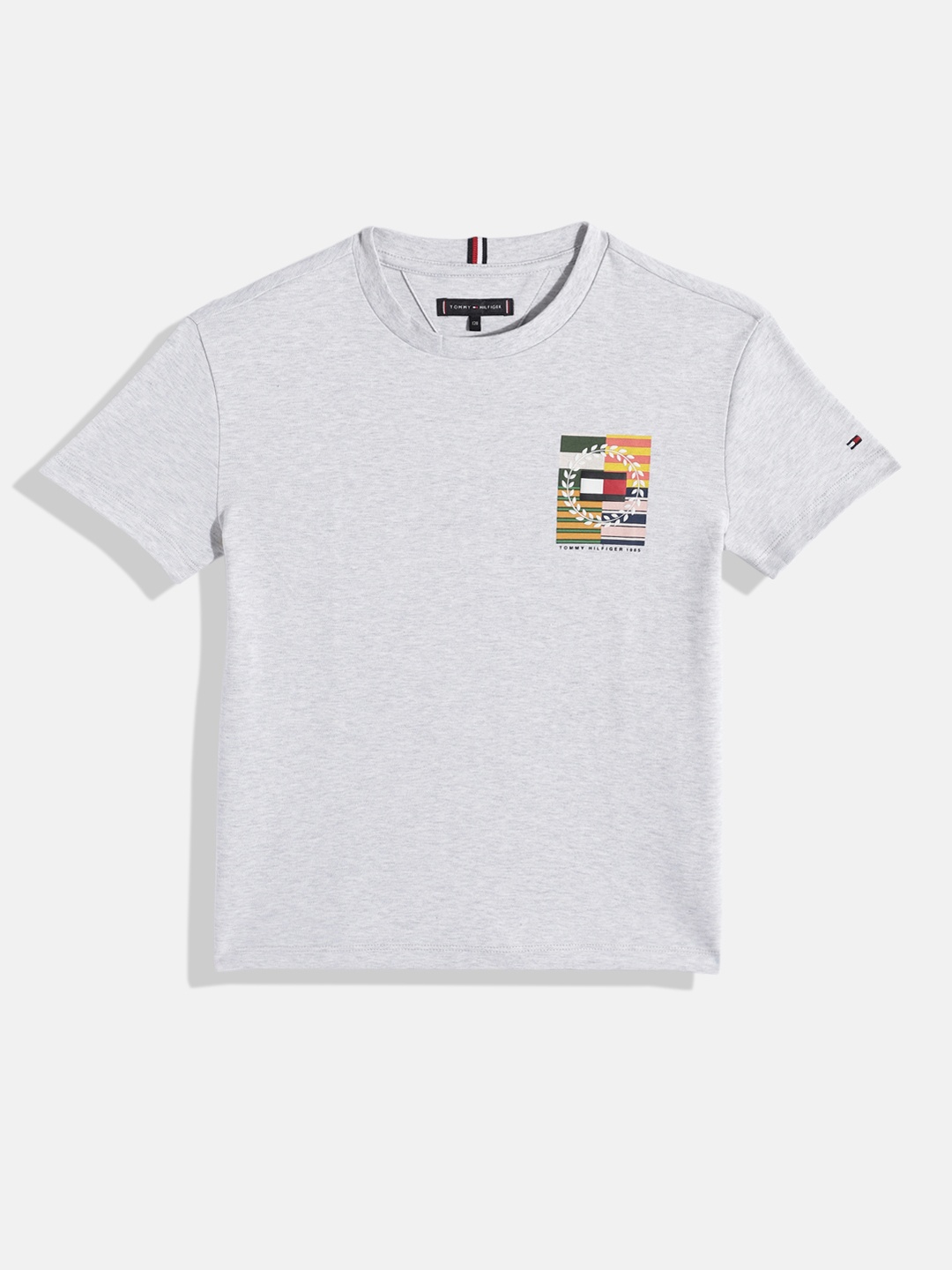 

Tommy Hilfiger Boys Printed Pure Cotton T-shirt, Grey melange