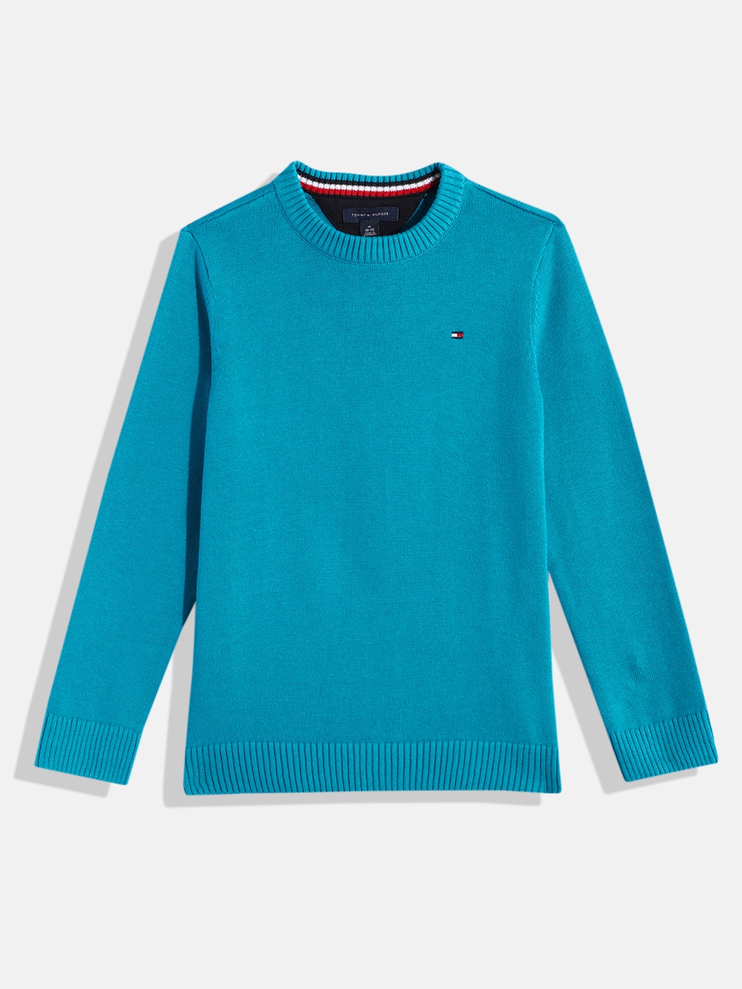 

Tommy Hilfiger Boys Solid Pure Cotton Knitted Regular Pullover, Teal