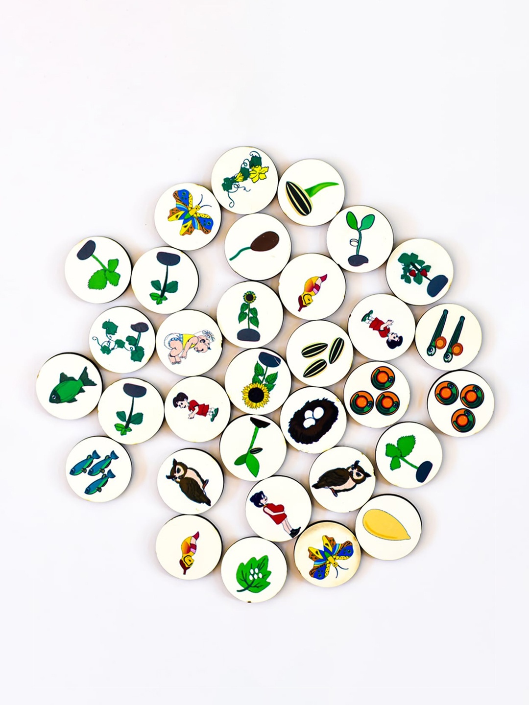 

ilearnngrow Kids Magnetic Life Cycle, White