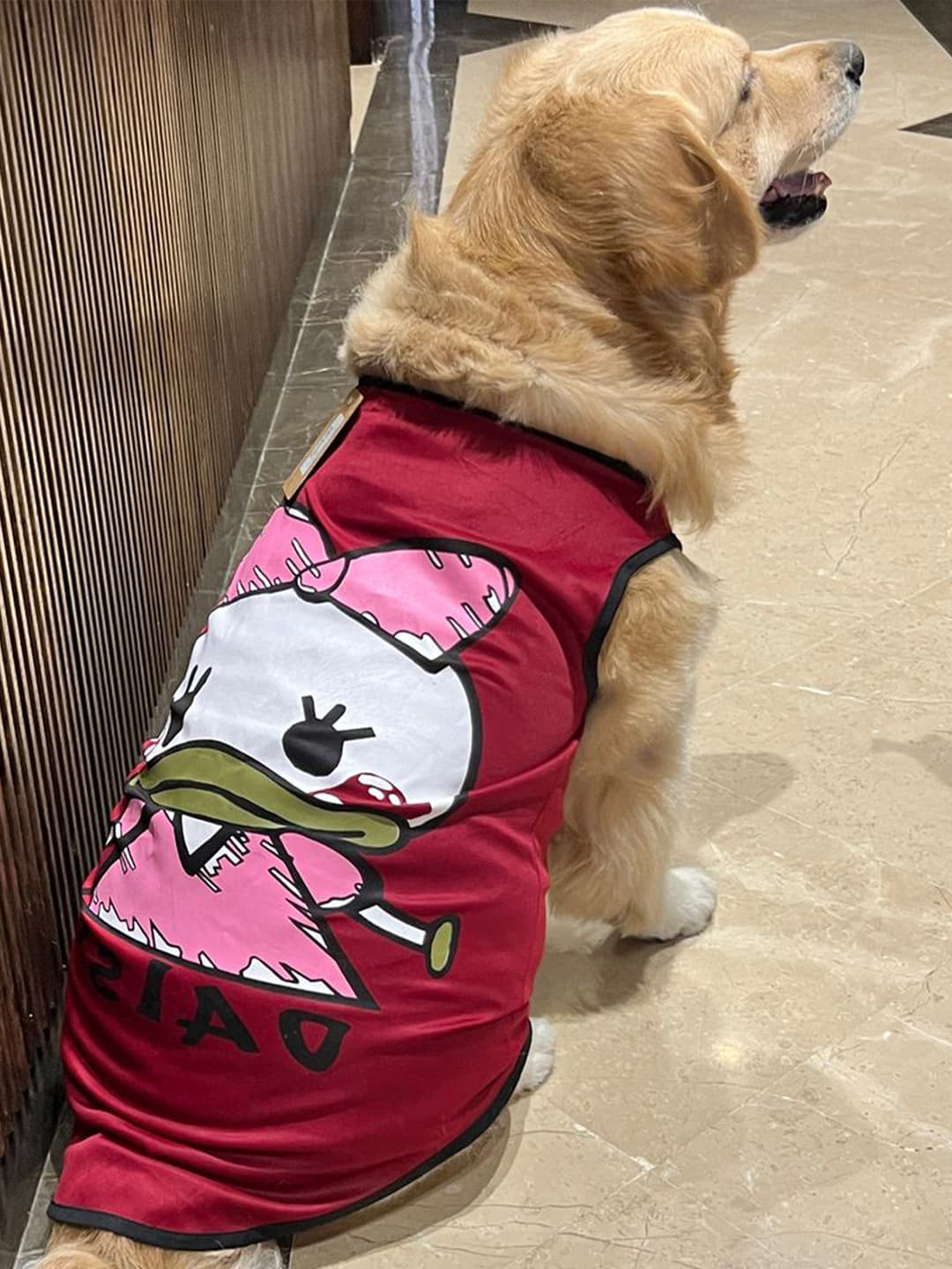 

Lulala Unisex Daisy Printed Dog Tshirts, Red