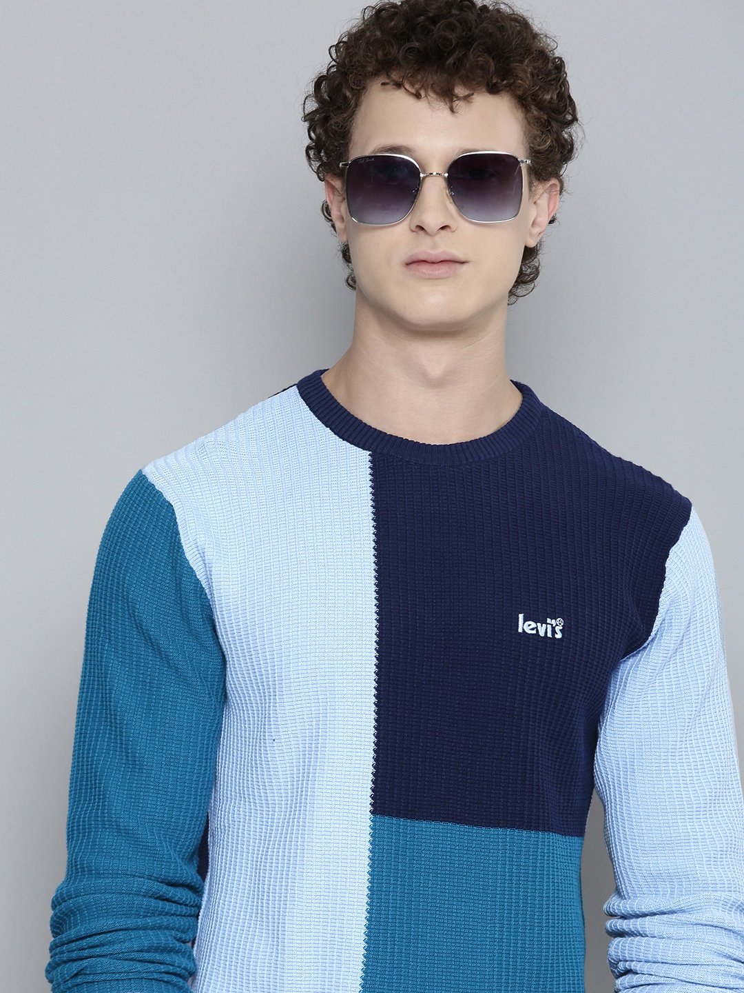 

Levis Men Colourblocked Pure Cotton Pullover, Blue