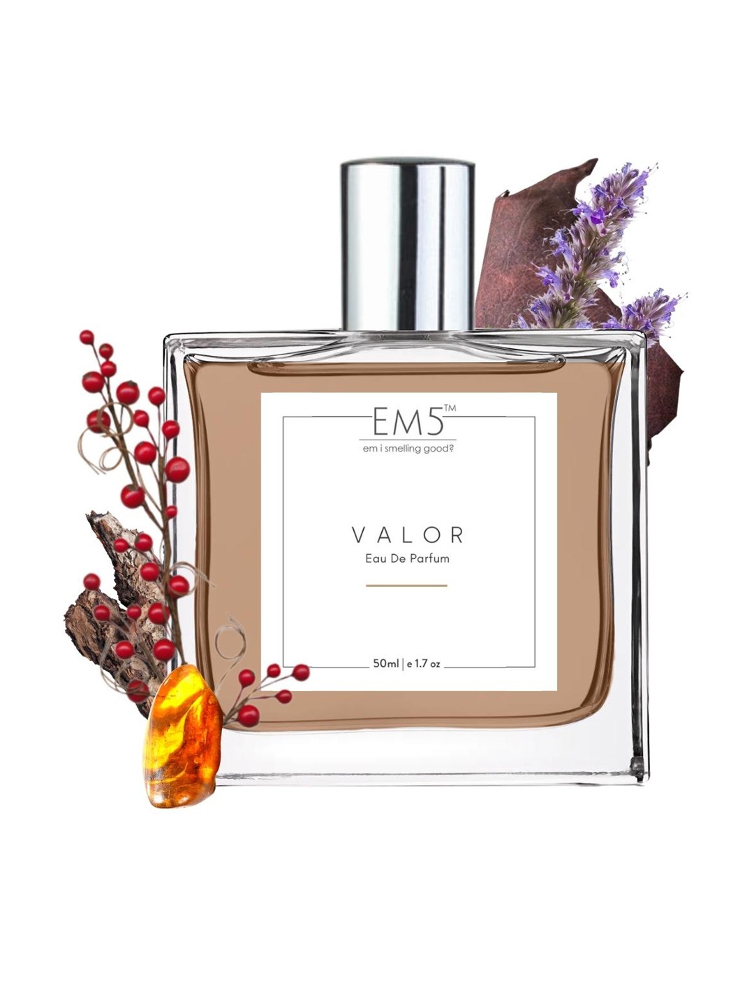 

EM5 Men Valor Eau De Parfum - 50ml, Transparent