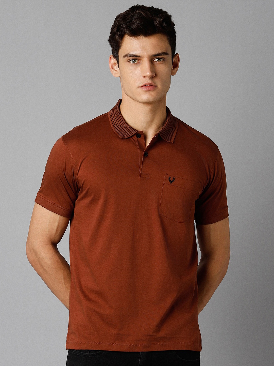 

Allen Solly Polo Collar Pure Cotton T-shirt, Rust