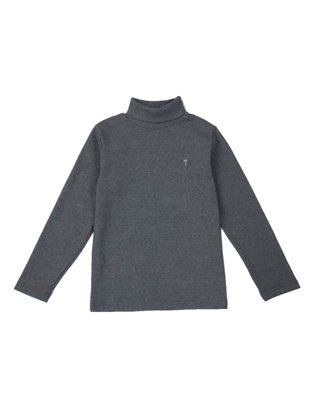 

Palm Tree Boys High Neck Long Sleeves Cotton T-shirt, Grey
