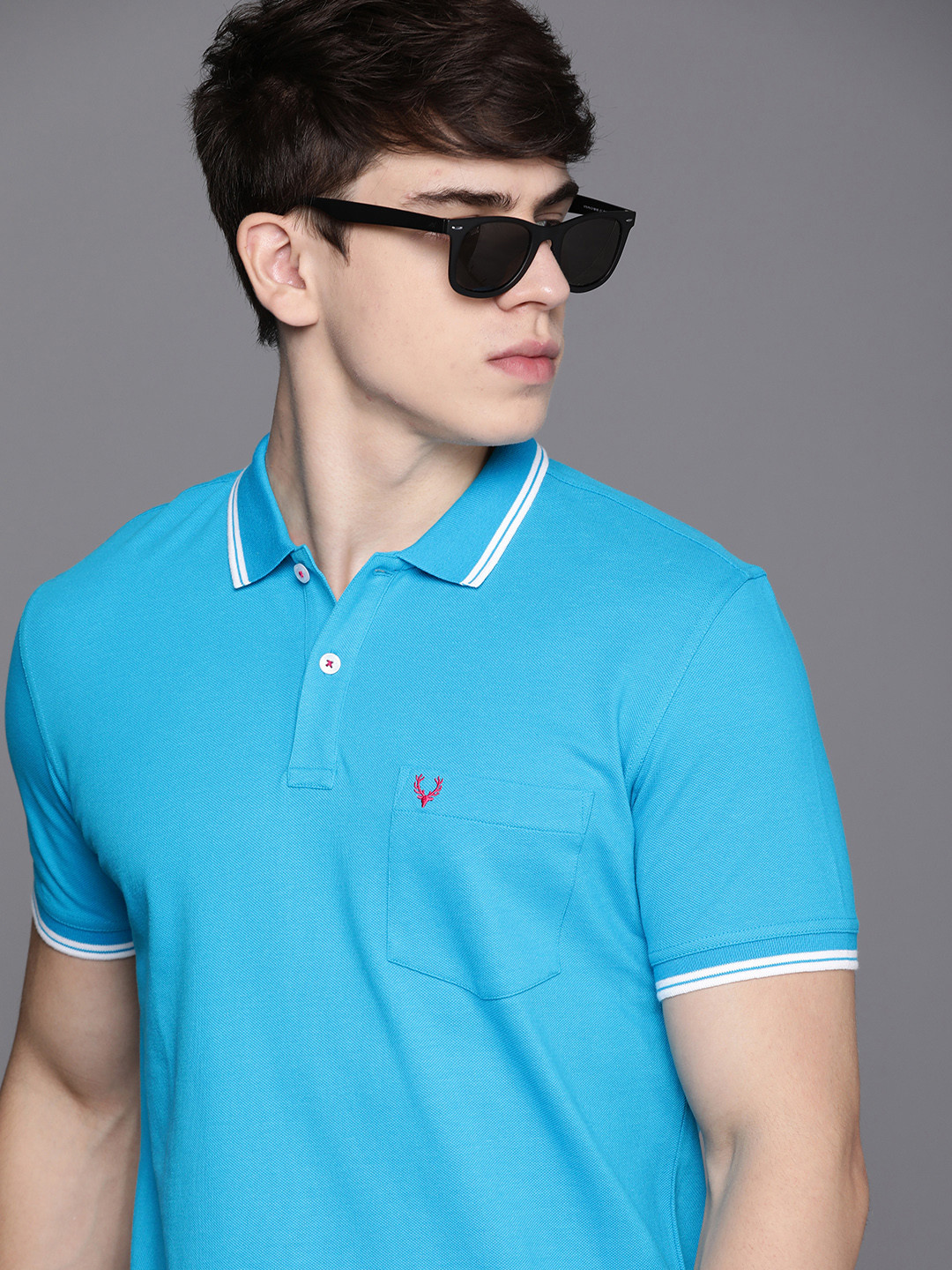 

Allen Solly Solid Polo Collar Pure Cotton T-shirt, Blue