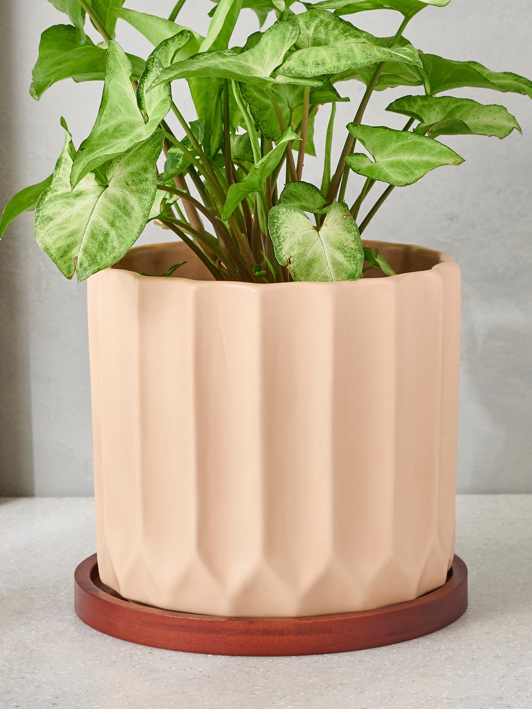 

Home Centre Gloria Beige & Brown Textured Planter With Wooden Stand