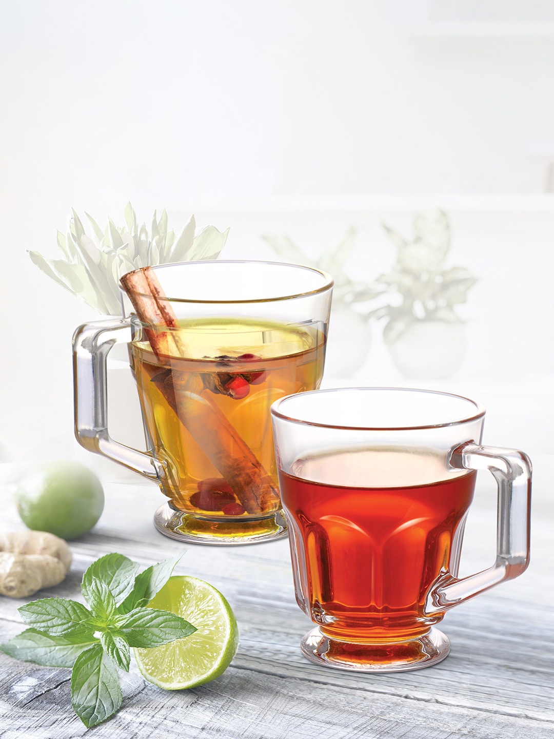 

Treo Septum 6 Pcs Transparent Solid Glass Glossy Tea Mugs - 140 ML Each