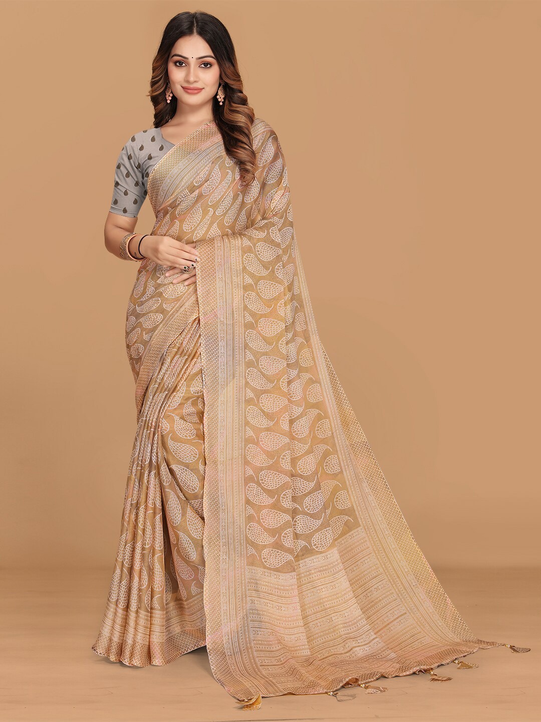

Triveni Paisley Printed with Printed Border Jaali Detailed Pure Chiffon Saree, Orange