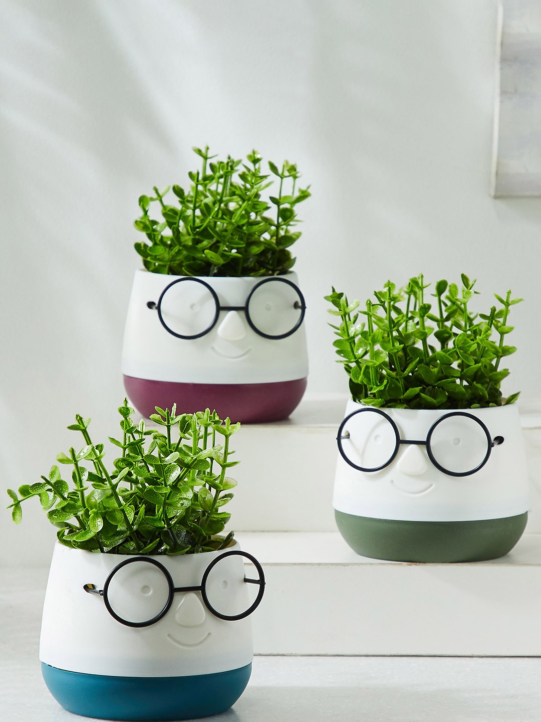 

Home Centre Spinel Decor 3-Pcs White & Blue Polypropylene Planter With Plant