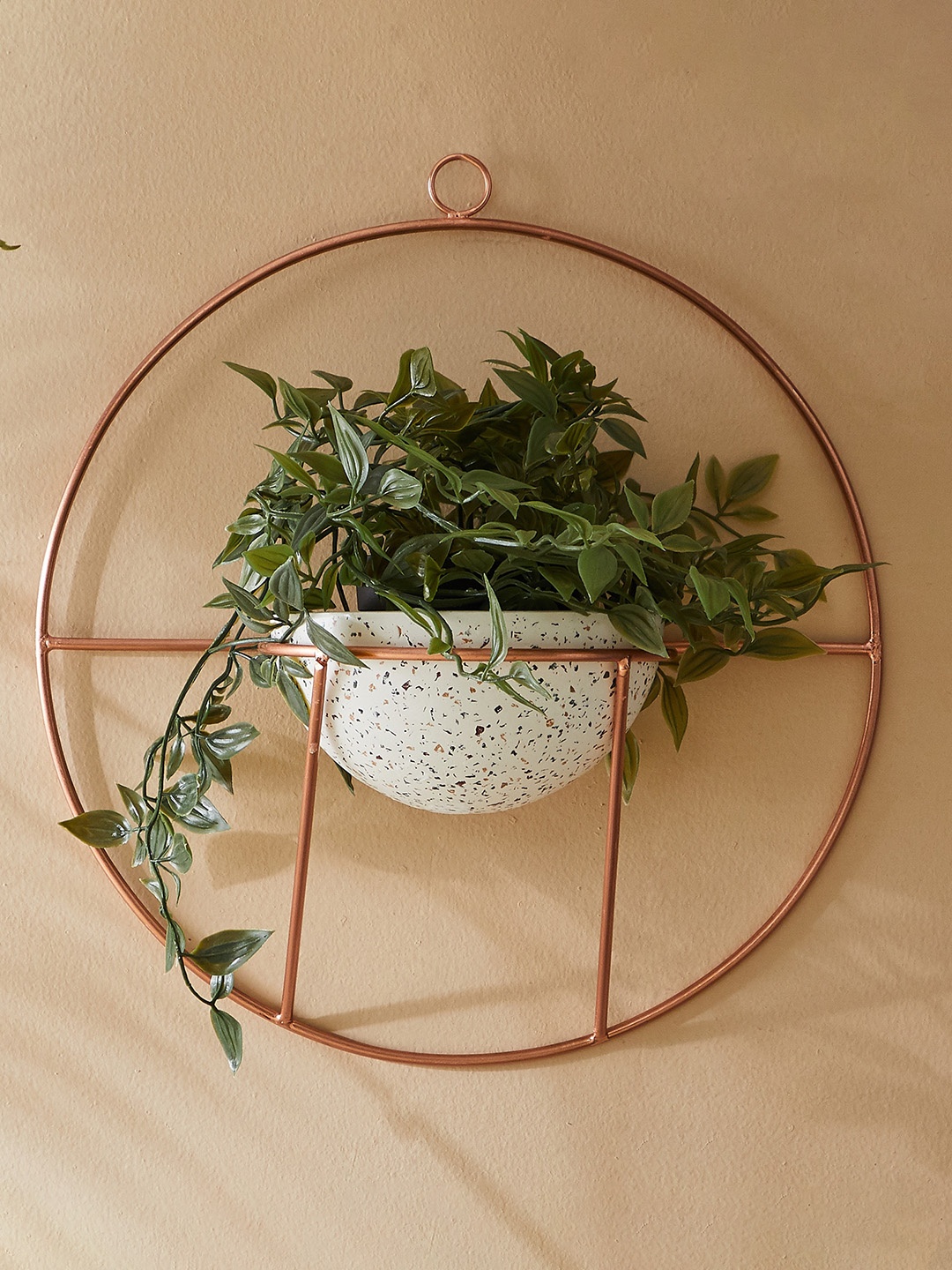 

Home Centre Splendid Terra Roza White Concreter Wall Planter with Iron Stand